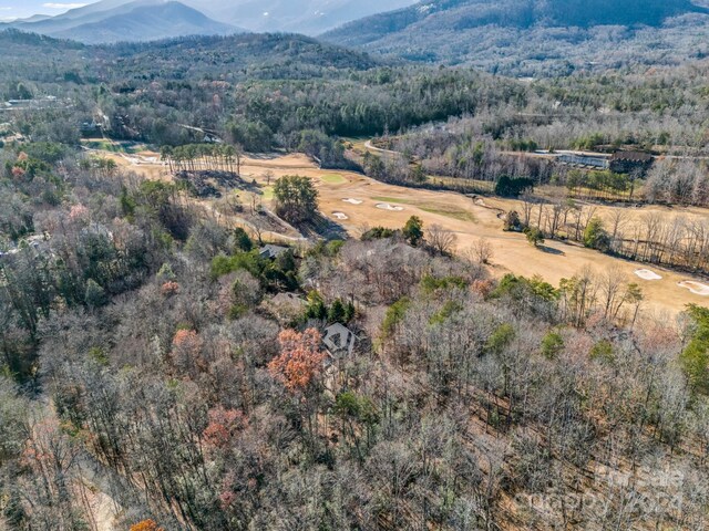 148 Courtland Ct, Lake Lure, NC 28746 - photo 42