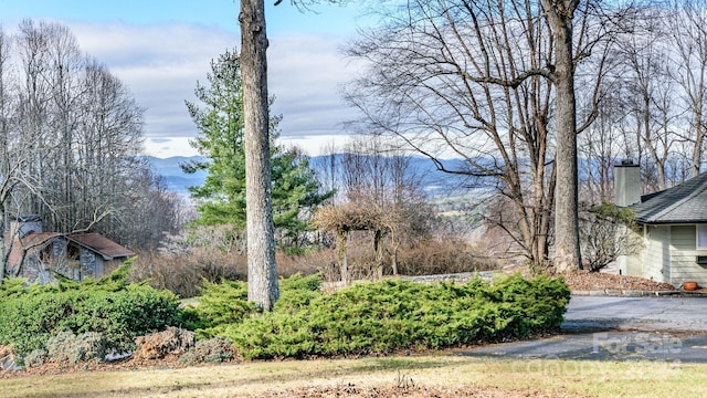 view of yard with a mountain view