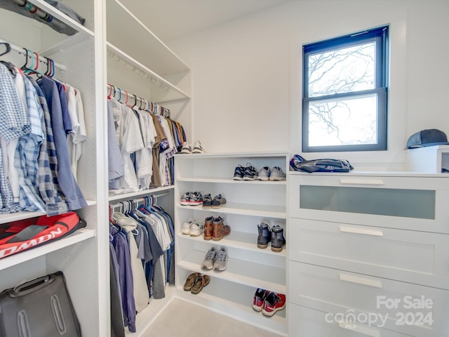 view of spacious closet