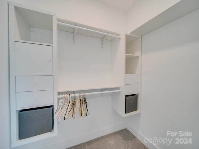 walk in closet with carpet