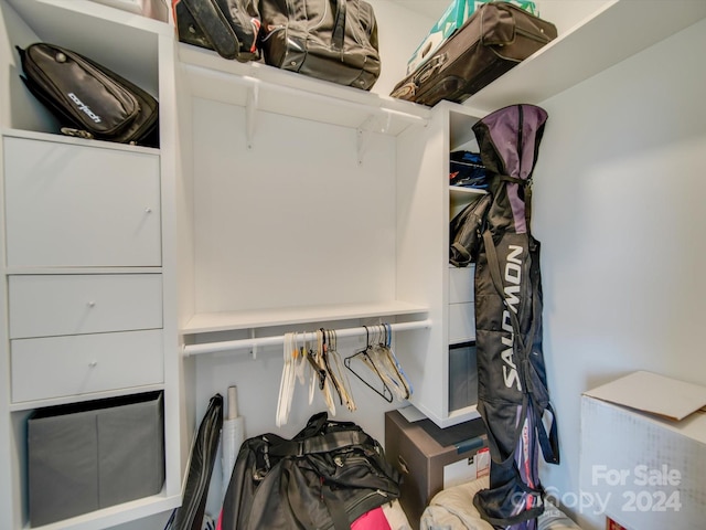 view of spacious closet