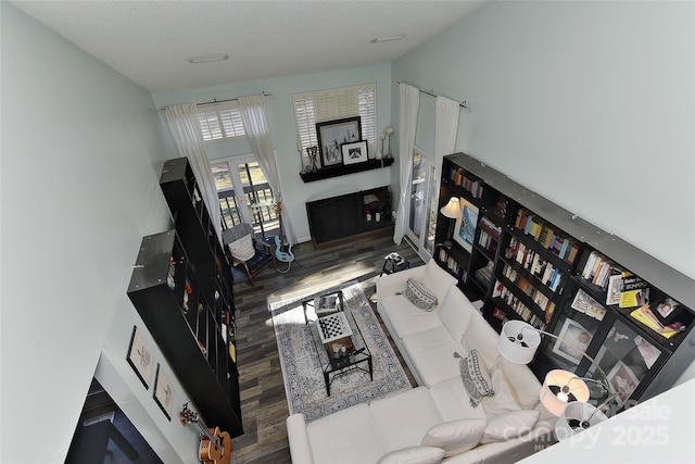 living room featuring dark hardwood / wood-style flooring