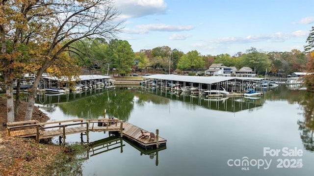 dock area with a water view