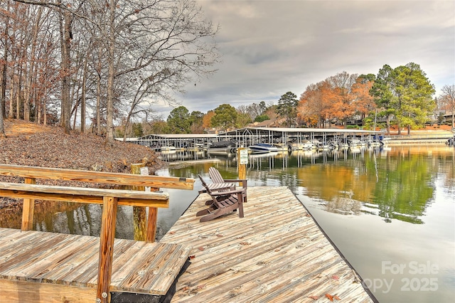 dock area with a water view