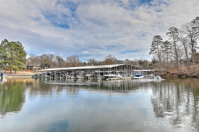 dock area featuring a water view