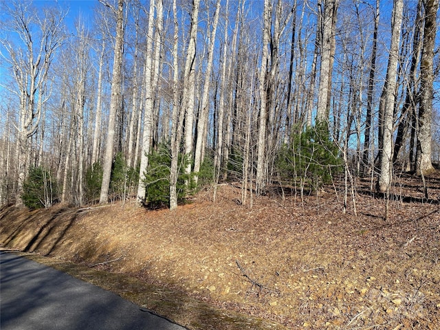 Listing photo 2 for LOT3 Dragonfly Ct, Burnsville NC 28714