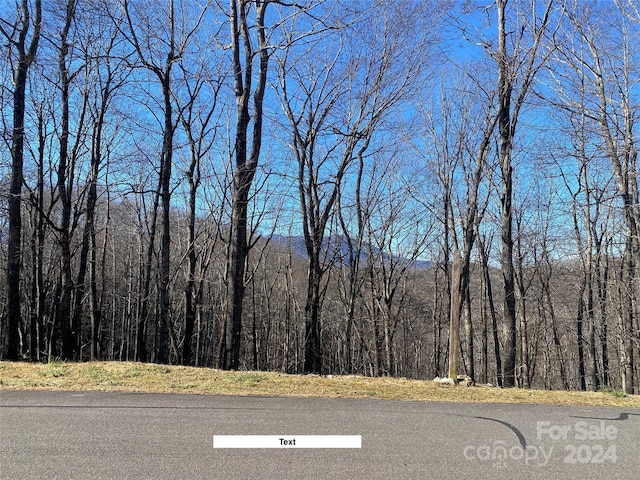 Listing photo 3 for LOT3 Dragonfly Ct, Burnsville NC 28714