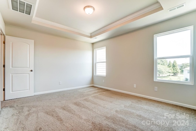 unfurnished room with a tray ceiling, crown molding, and light colored carpet