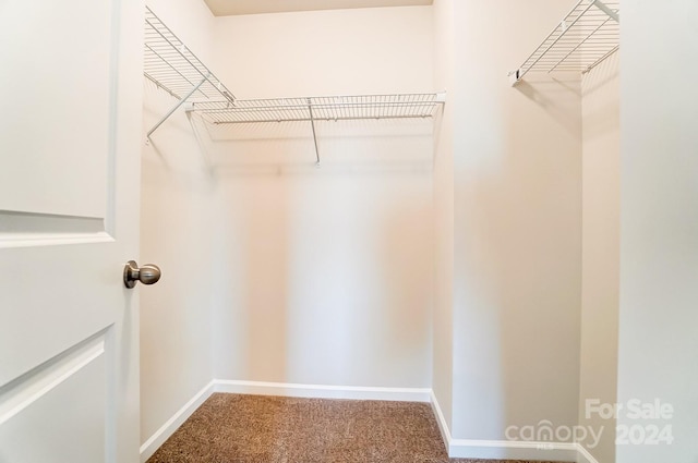 walk in closet featuring carpet