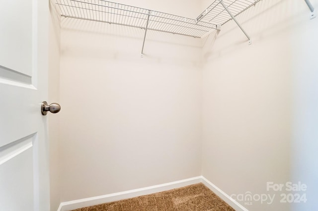 spacious closet with carpet