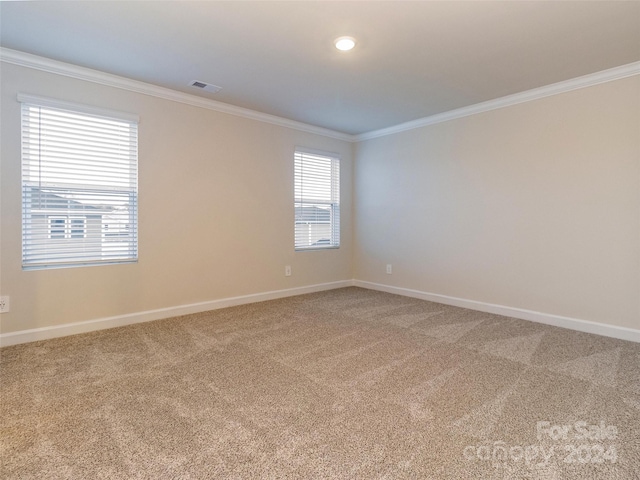 empty room with carpet, a healthy amount of sunlight, and crown molding