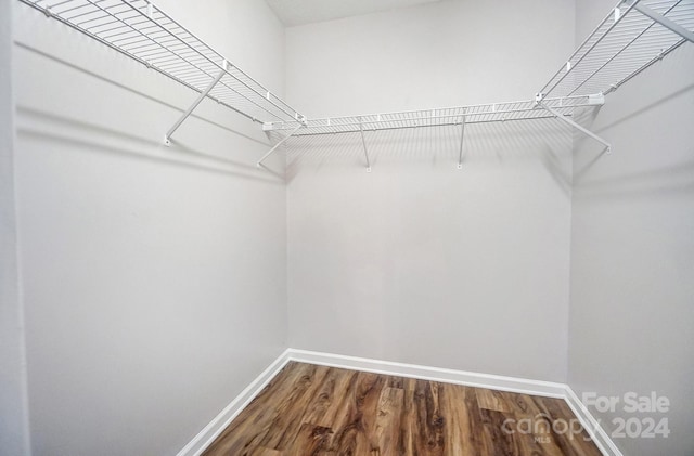 walk in closet with hardwood / wood-style floors