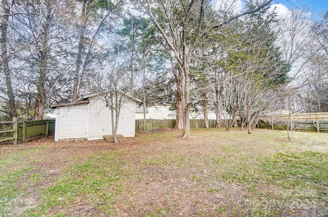 view of yard featuring a shed