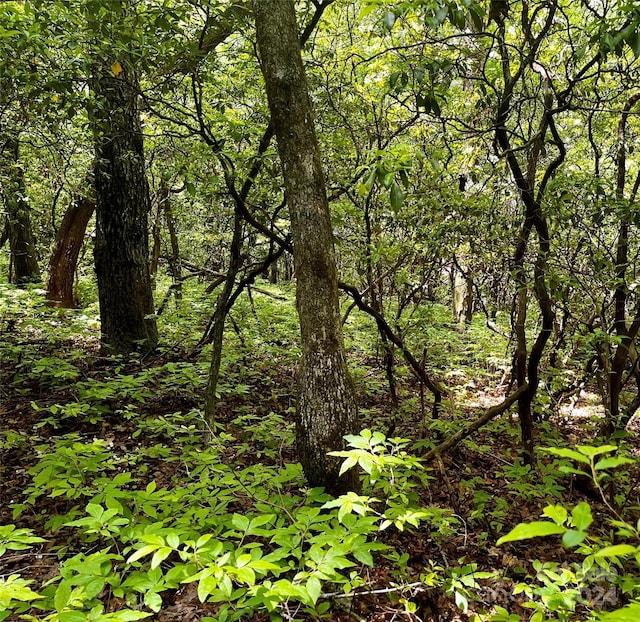 view of nature