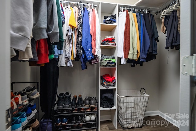 walk in closet featuring hardwood / wood-style floors