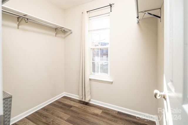 spacious closet featuring dark hardwood / wood-style floors