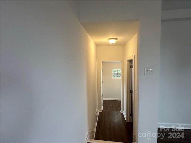 hallway featuring dark hardwood / wood-style floors