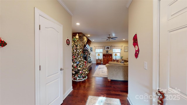 corridor featuring ornamental molding and dark hardwood / wood-style floors