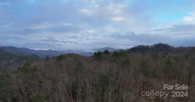 Listing photo 2 for 9999999 White Oak Rd, Waynesville NC 28785