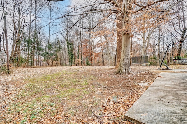 view of yard featuring a patio