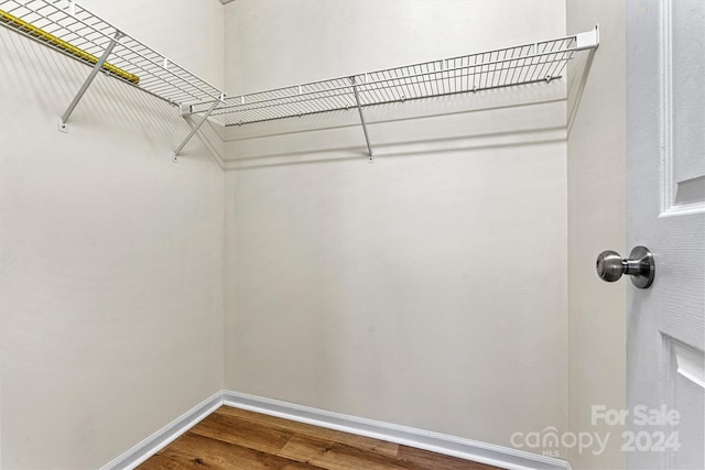 spacious closet with wood-type flooring