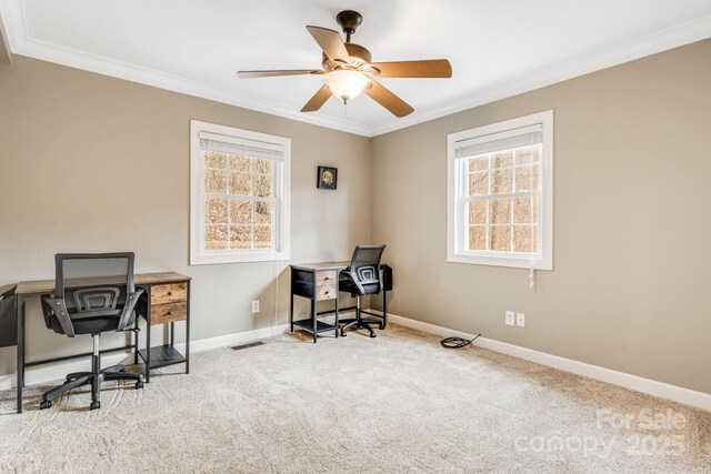 carpeted office with ceiling fan and ornamental molding