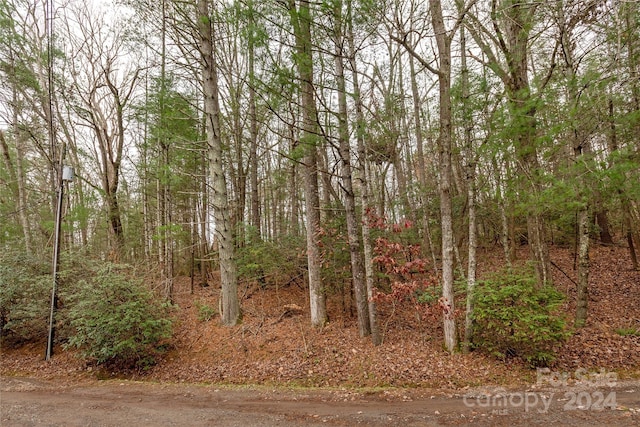 99999 Musterfield Dr Unit 2, Asheville NC, 28778 land for sale