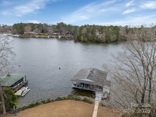 dock area featuring a water view