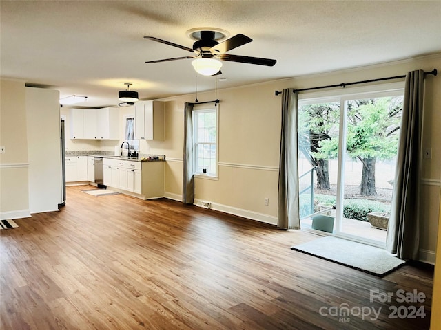 unfurnished living room featuring light hardwood / wood-style floors, a healthy amount of sunlight, and sink