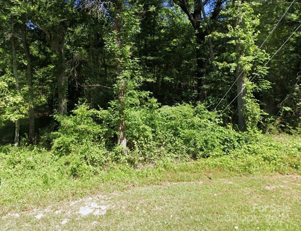 0000 Darby Rd, Chester, SC 29720 - photo 1