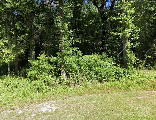 0000 Darby Rd, Chester, SC 29720 - photo 1