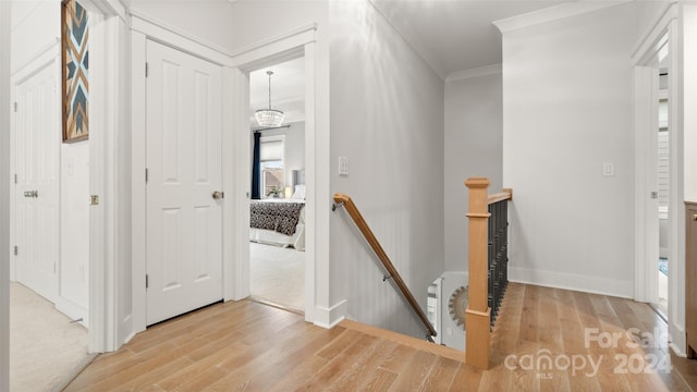 interior space with light hardwood / wood-style floors and crown molding