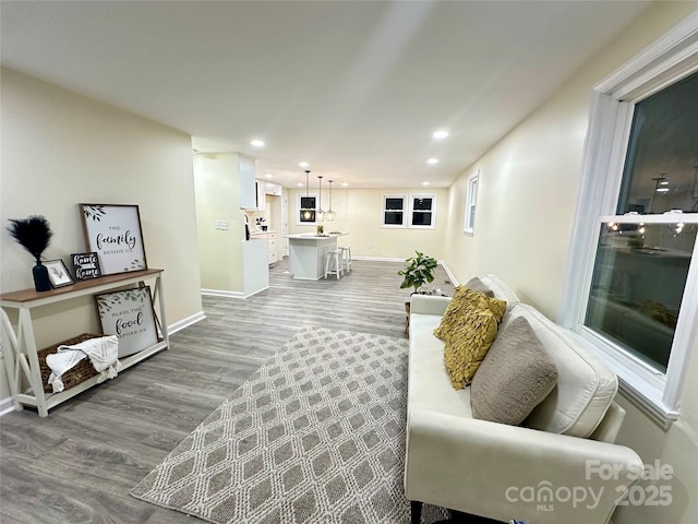 living room with hardwood / wood-style flooring