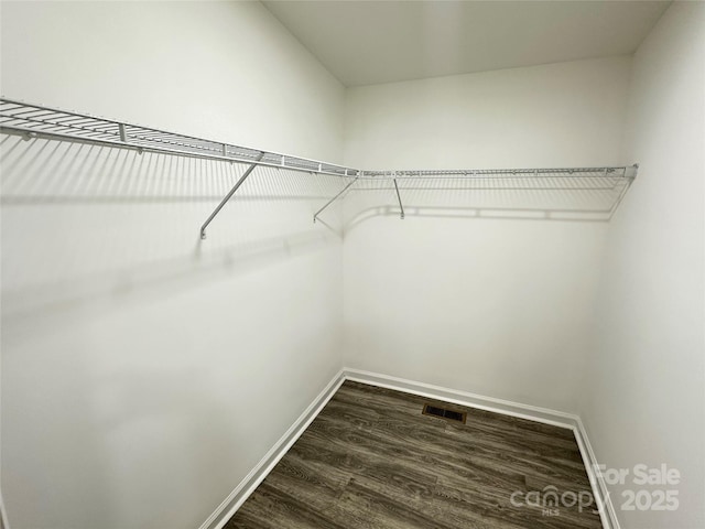 spacious closet featuring dark wood-type flooring