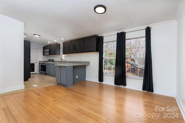 kitchen featuring crown molding, sink, light hardwood / wood-style flooring, a textured ceiling, and stainless steel appliances