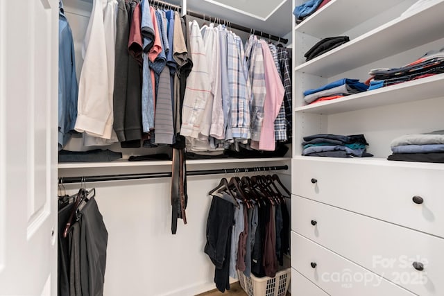 view of walk in closet