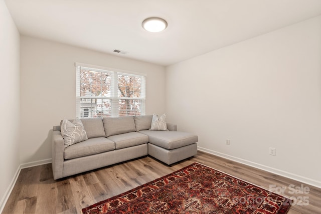 living room featuring wood-type flooring