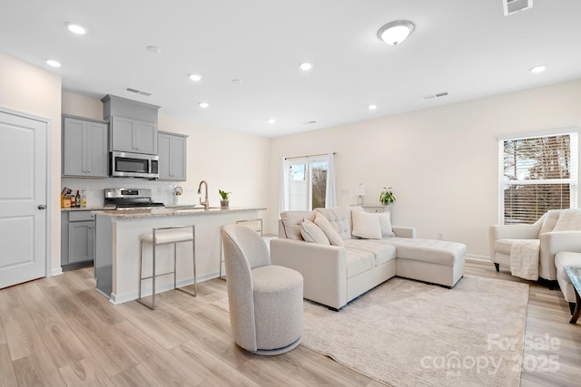 living room featuring sink and light hardwood / wood-style flooring