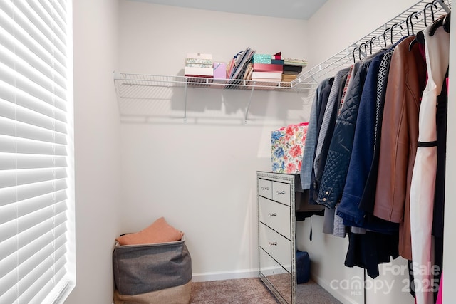 walk in closet with carpet