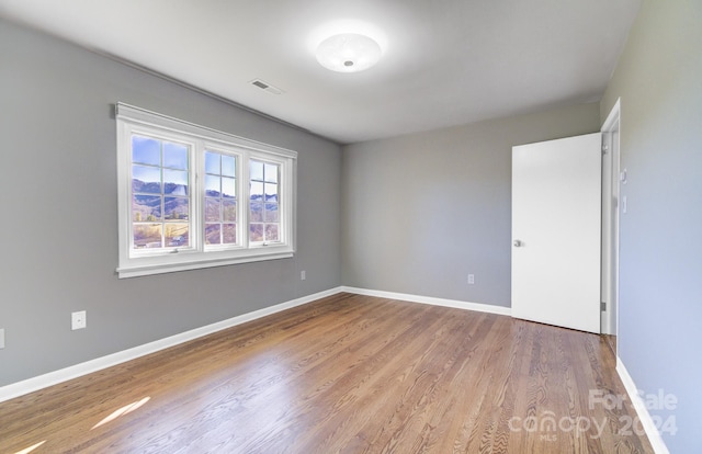 spare room featuring wood-type flooring