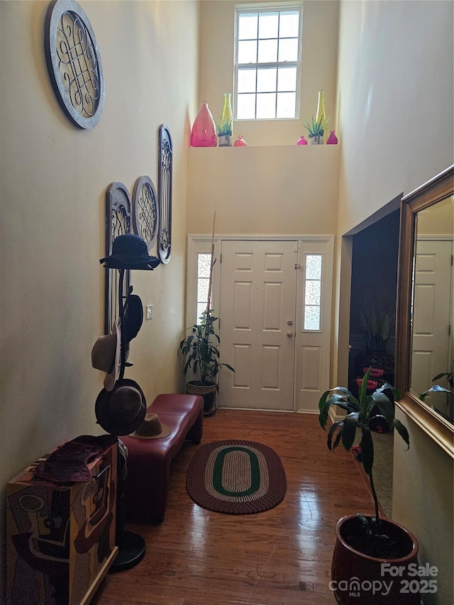 entryway featuring hardwood / wood-style floors, a towering ceiling, and a healthy amount of sunlight