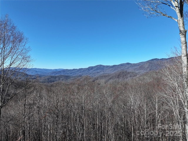 225 Cook House Rd Unit 225, Sylva NC, 28779 land for sale