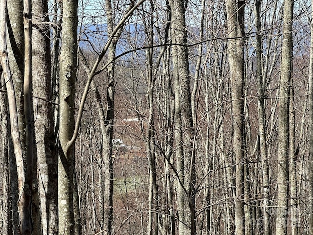 146 E Clubhouse Rd Unit 99, Sylva, NC 28779