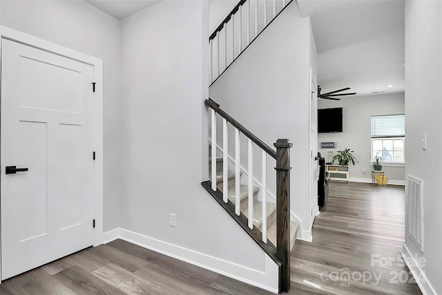 foyer with ceiling fan and dark hardwood / wood-style floors