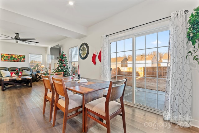 dining room featuring hardwood / wood-style floors and ceiling fan