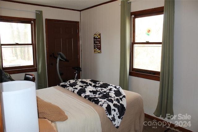 bedroom with ornamental molding