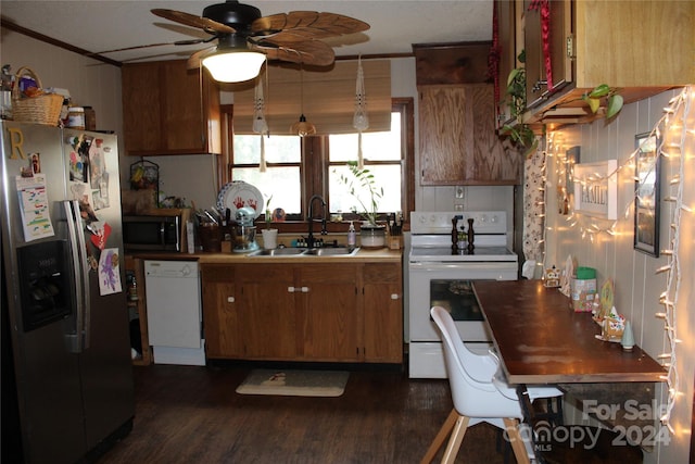 kitchen with appliances with stainless steel finishes, ornamental molding, ceiling fan, sink, and dark hardwood / wood-style floors