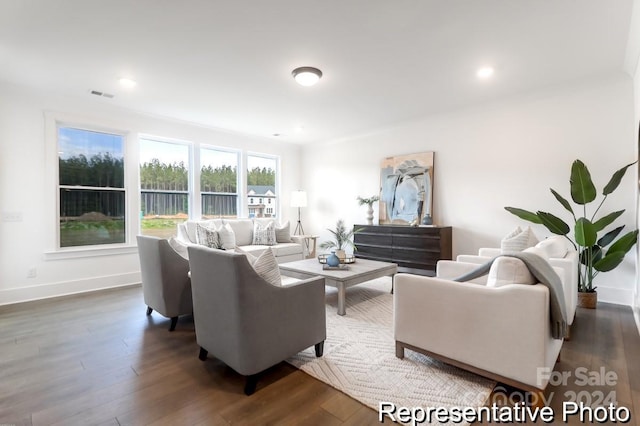 living room with dark hardwood / wood-style floors