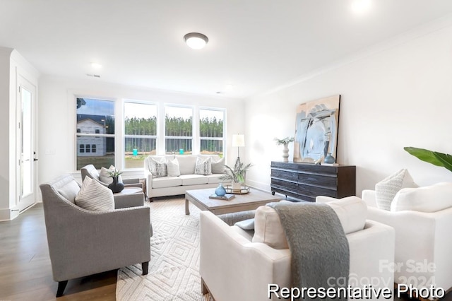 living room with hardwood / wood-style floors