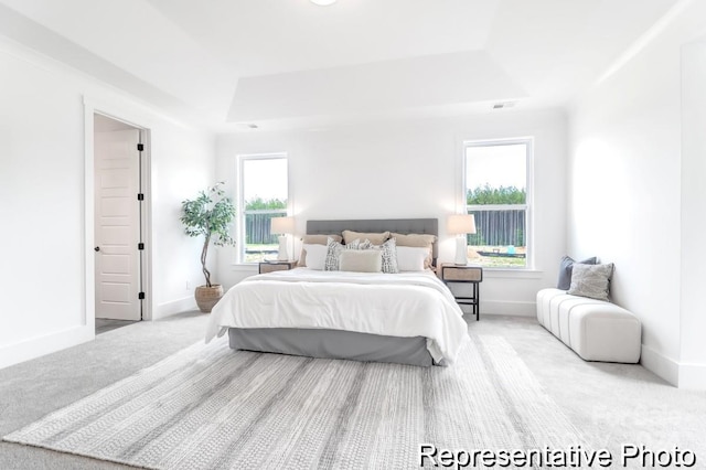 carpeted bedroom with a tray ceiling